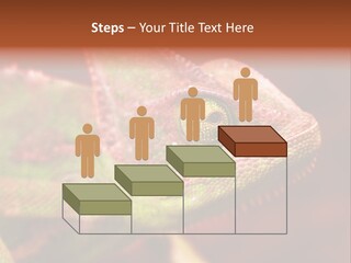 Effect Color Macro PowerPoint Template