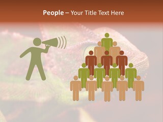 Effect Color Macro PowerPoint Template