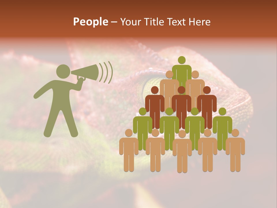 Effect Color Macro PowerPoint Template