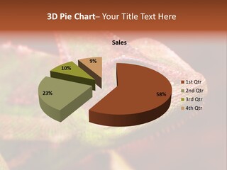 Effect Color Macro PowerPoint Template