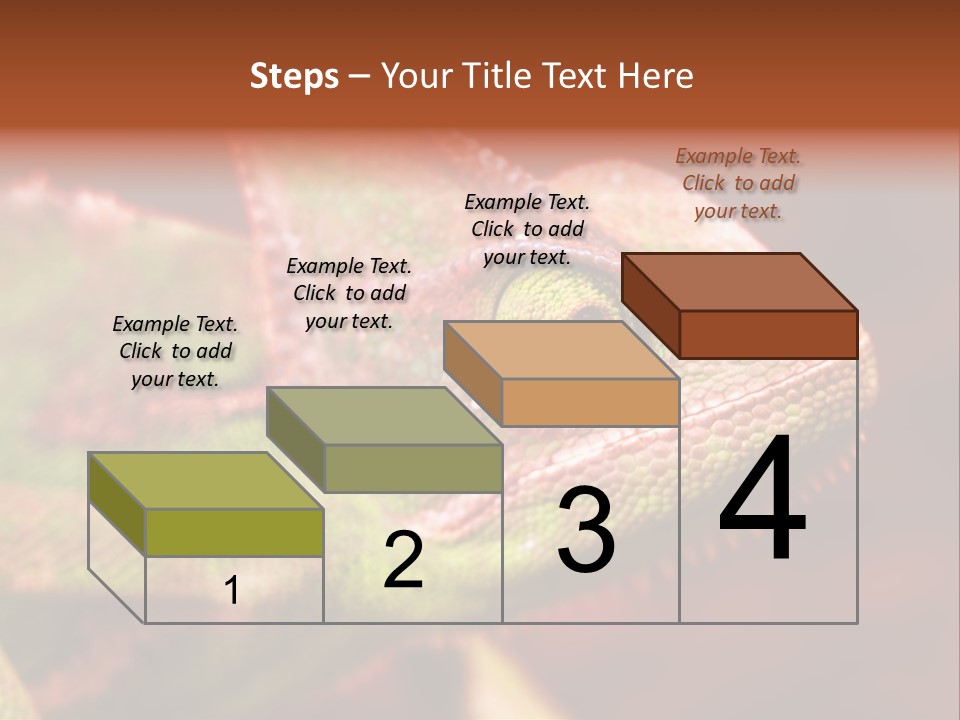 Effect Color Macro PowerPoint Template