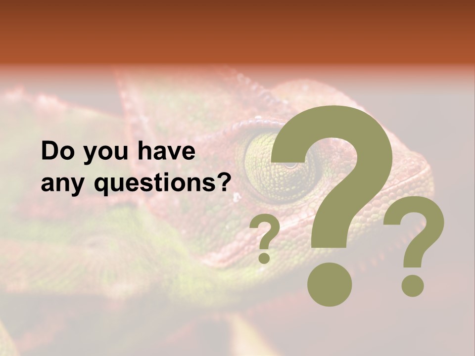 Effect Color Macro PowerPoint Template