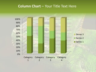 Reptiles Animals PowerPoint Template