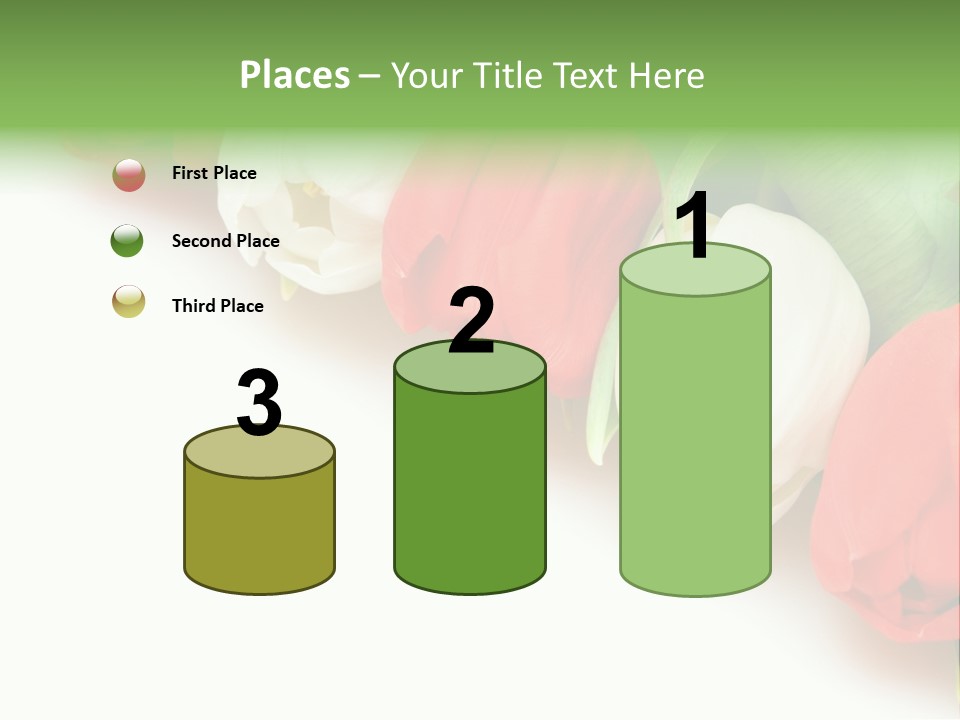 Red Tulips PowerPoint Template