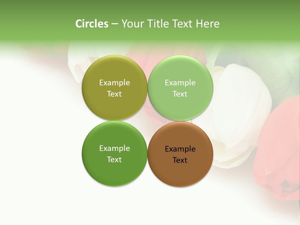 Red Tulips PowerPoint Template