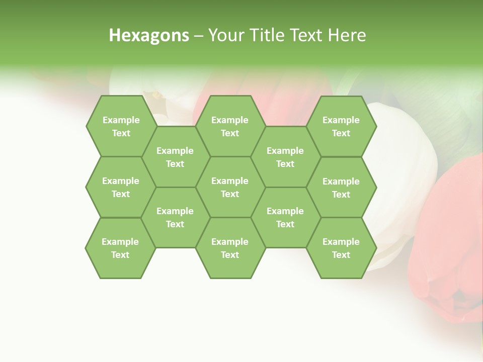 Red Tulips PowerPoint Template