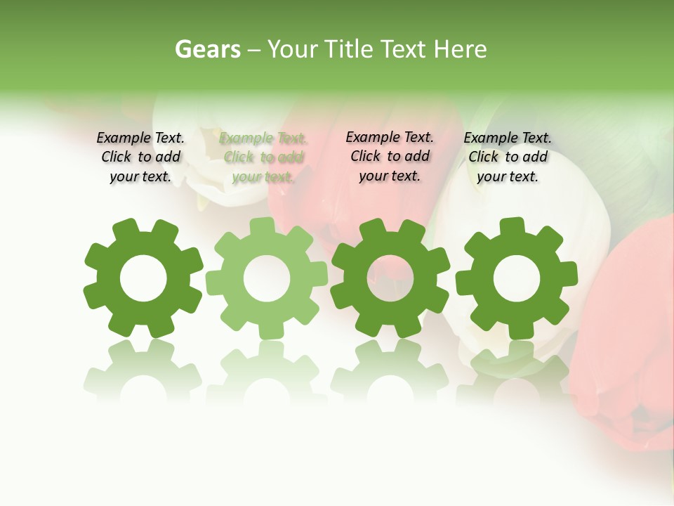 Red Tulips PowerPoint Template