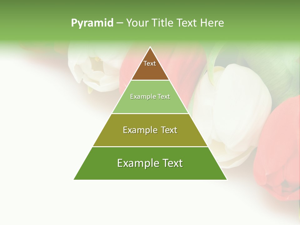 Red Tulips PowerPoint Template