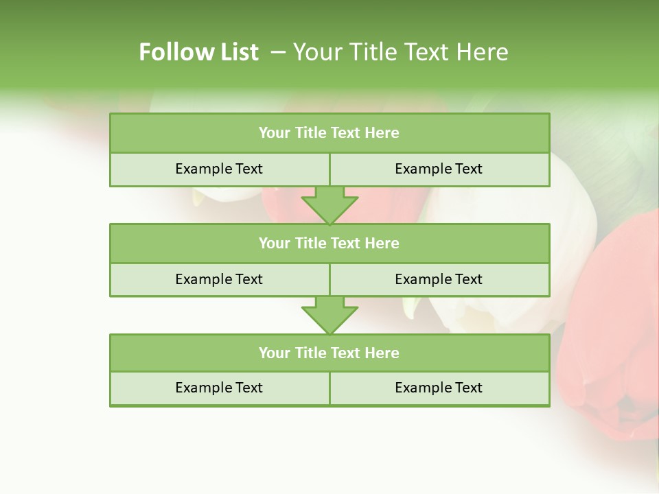 Red Tulips PowerPoint Template