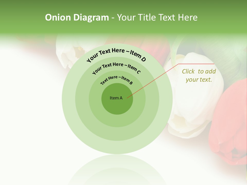 Red Tulips PowerPoint Template