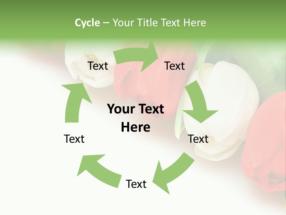 Red Tulips PowerPoint Template