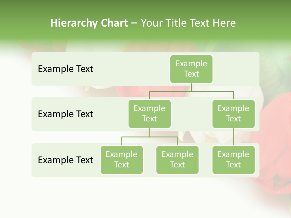 Red Tulips PowerPoint Template