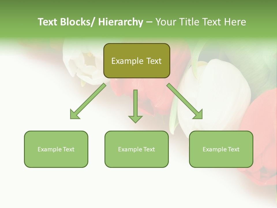 Red Tulips PowerPoint Template