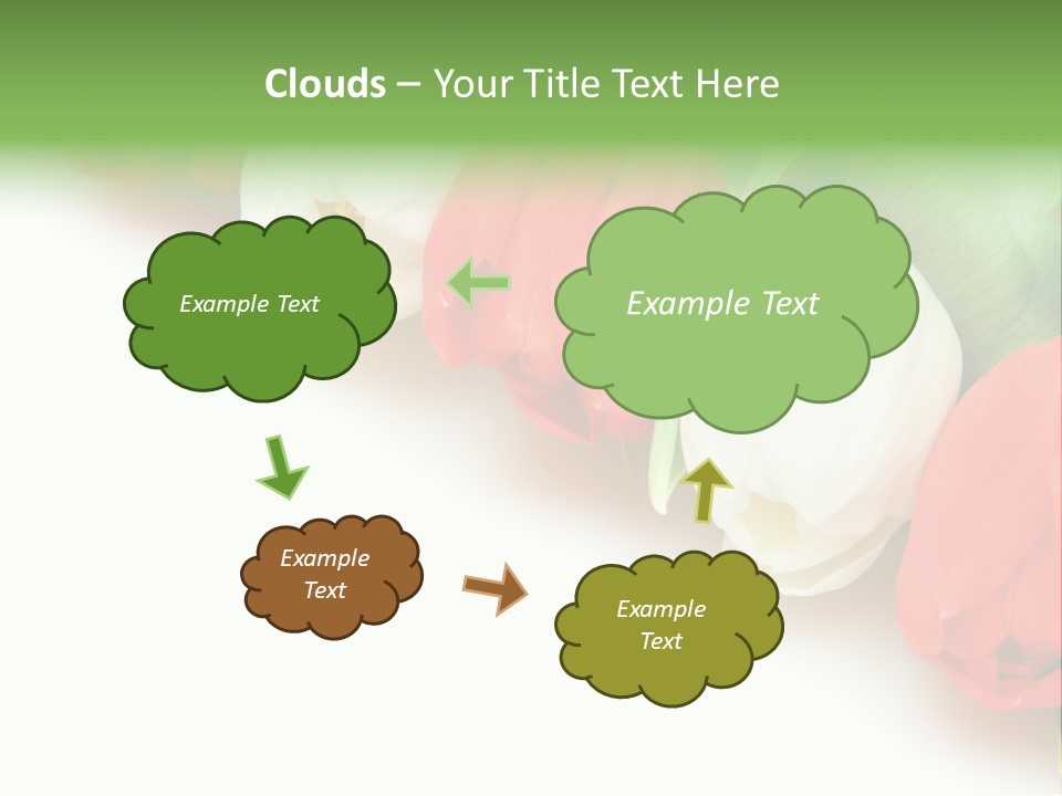 Red Tulips PowerPoint Template