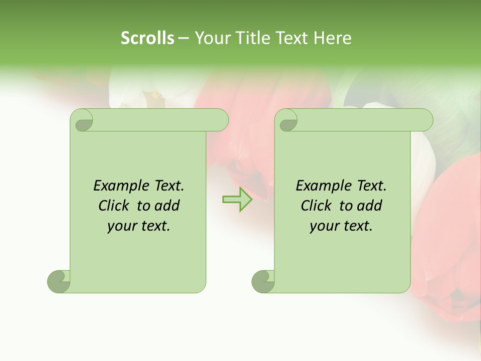Red Tulips PowerPoint Template