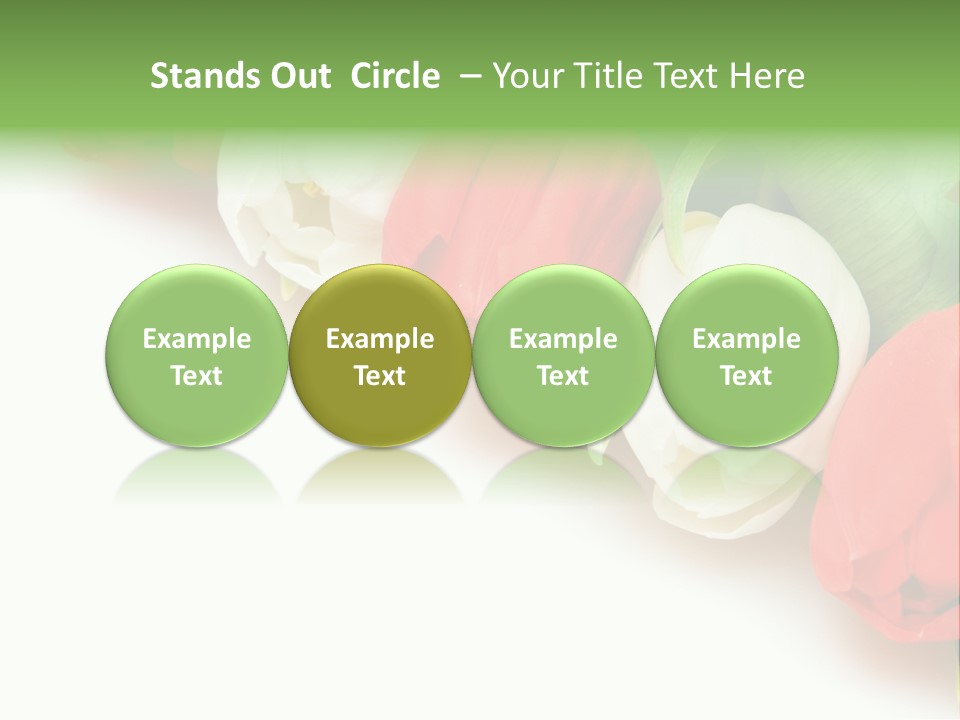 Red Tulips PowerPoint Template