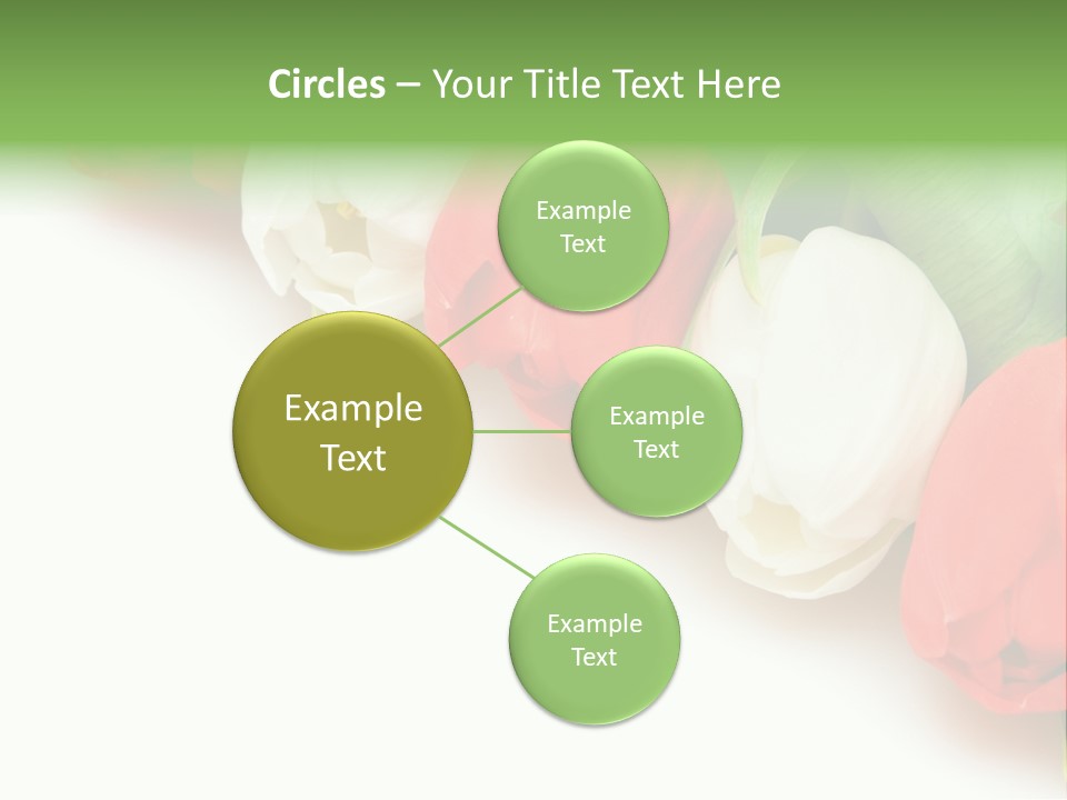 Red Tulips PowerPoint Template