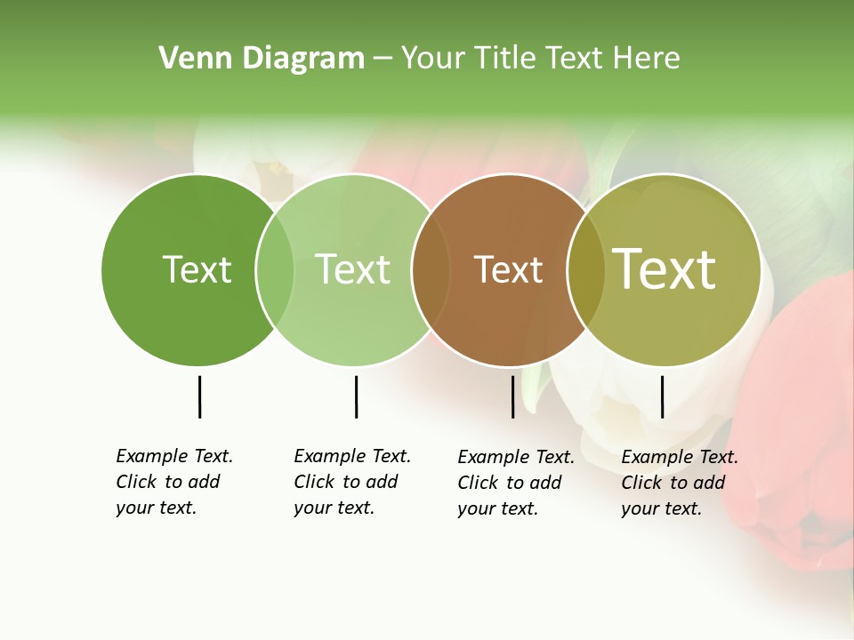 Red Tulips PowerPoint Template