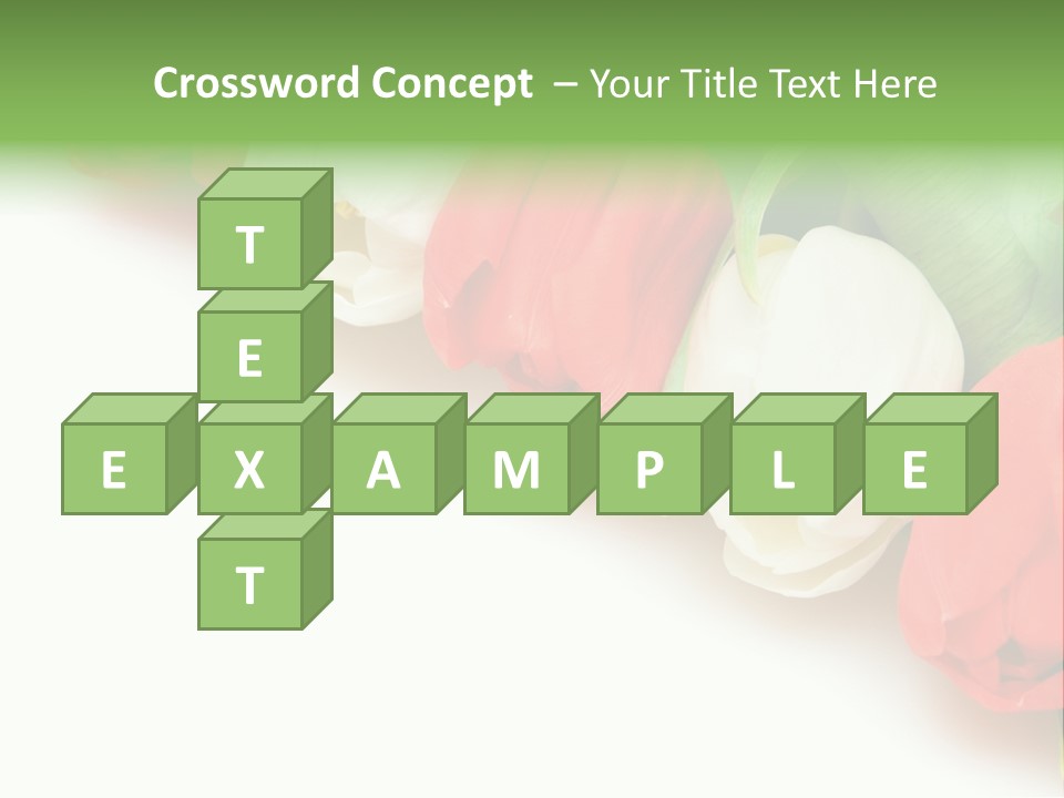 Red Tulips PowerPoint Template