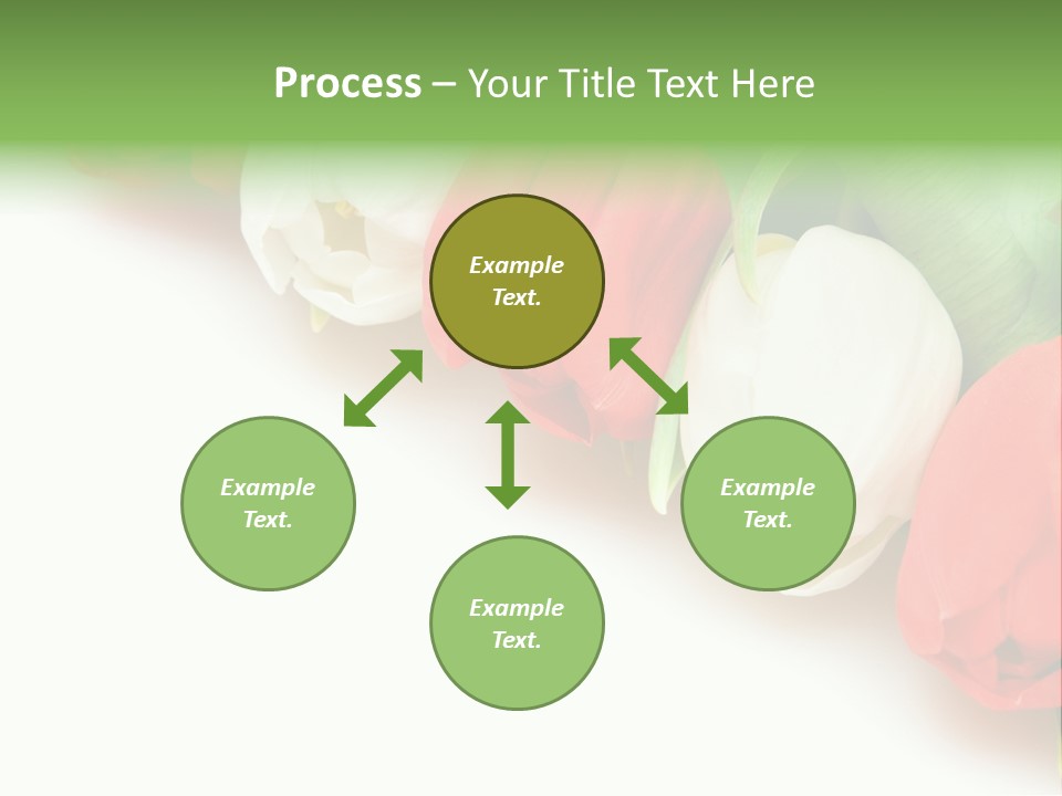 Red Tulips PowerPoint Template