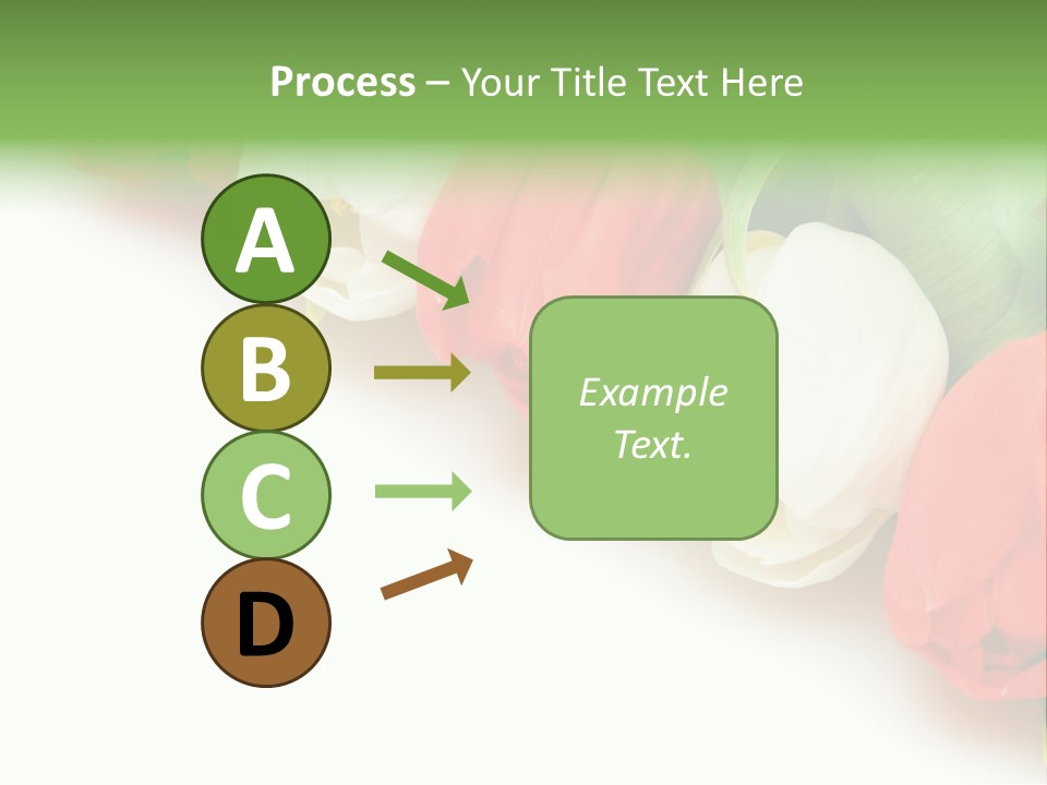 Red Tulips PowerPoint Template