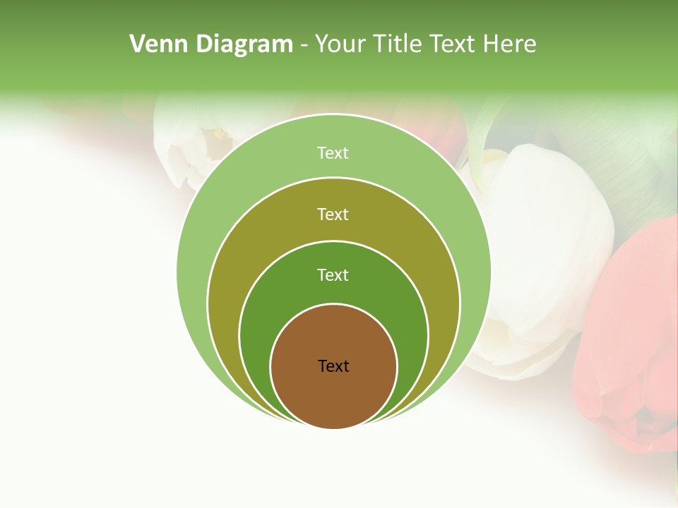 Red Tulips PowerPoint Template