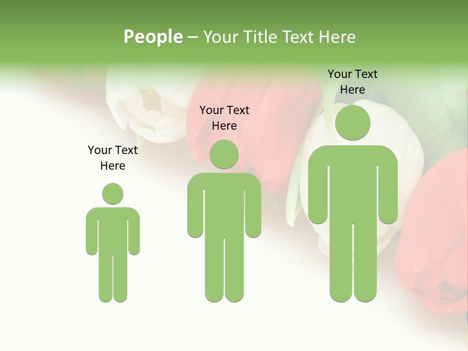 Red Tulips PowerPoint Template