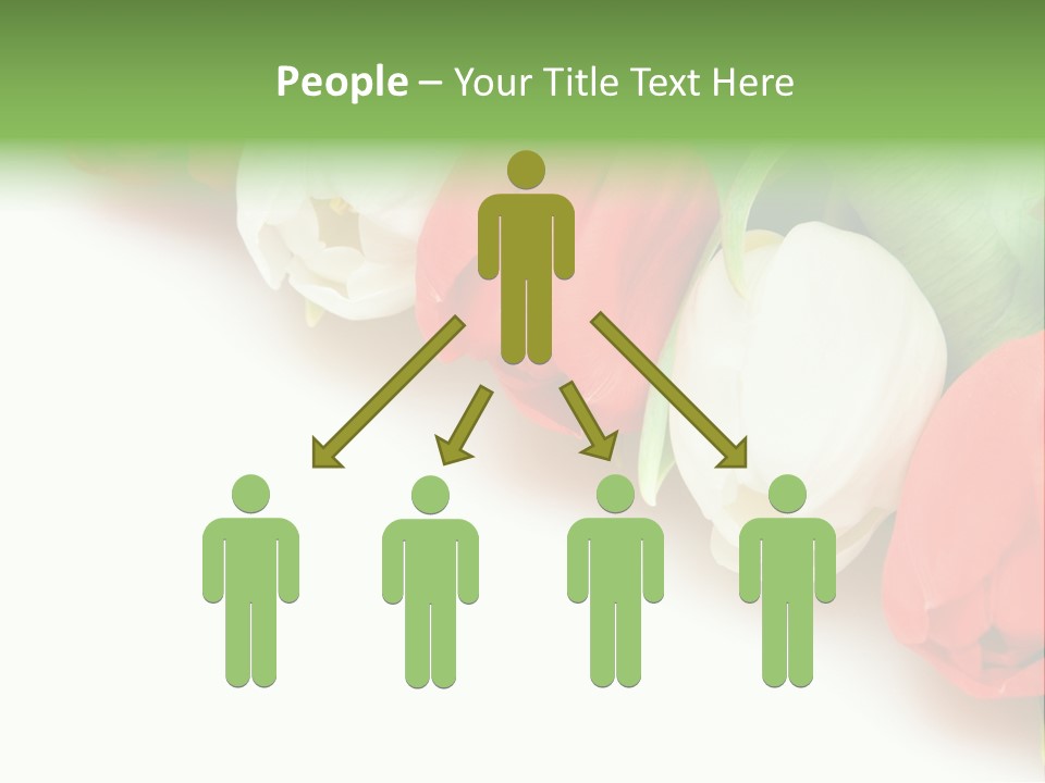 Red Tulips PowerPoint Template