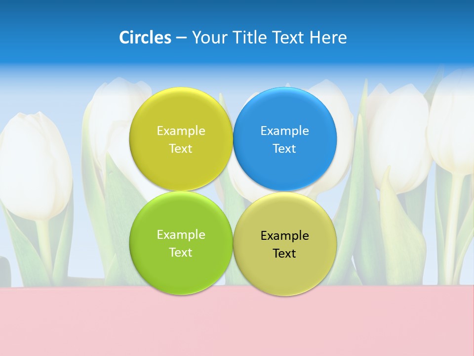 Tulip PowerPoint Template