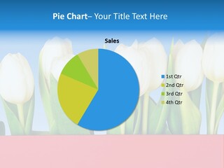 Tulip PowerPoint Template