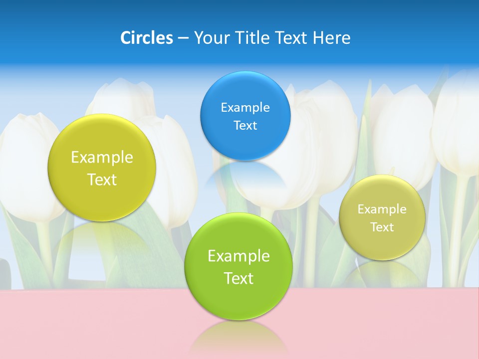 Tulip PowerPoint Template