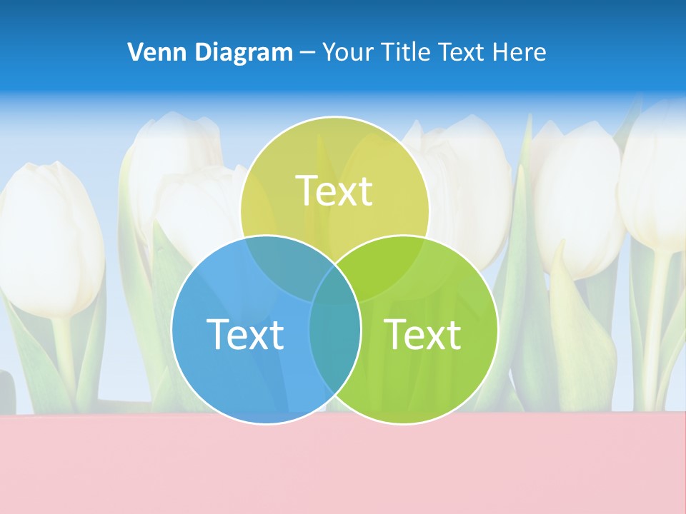 Tulip PowerPoint Template