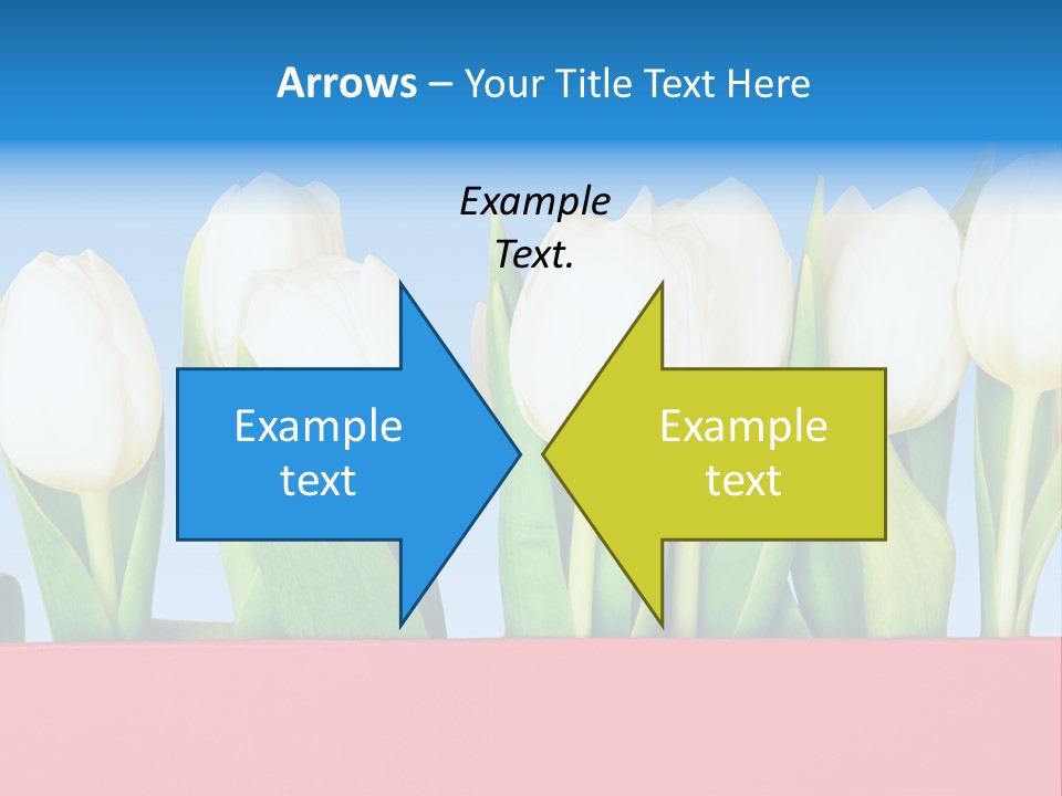 Tulip PowerPoint Template