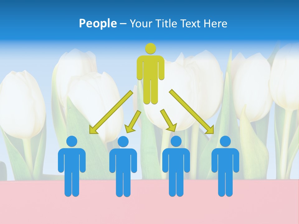 Tulip PowerPoint Template