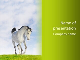 Beautiful Horses PowerPoint Template