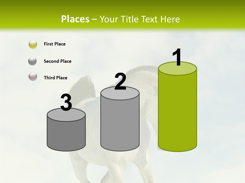 Beautiful Horses PowerPoint Template