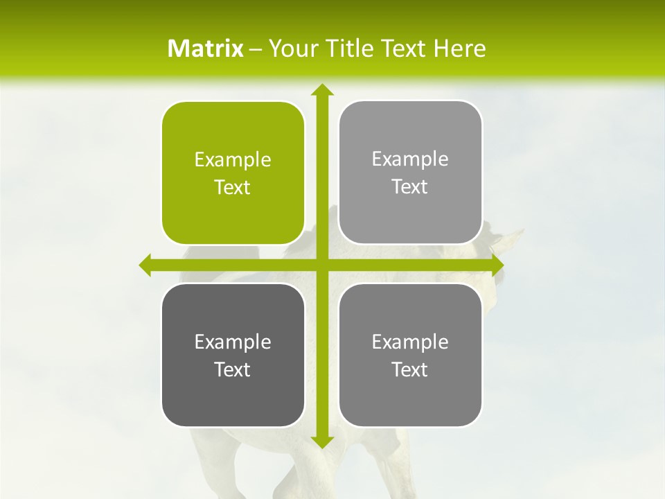 Beautiful Horses PowerPoint Template