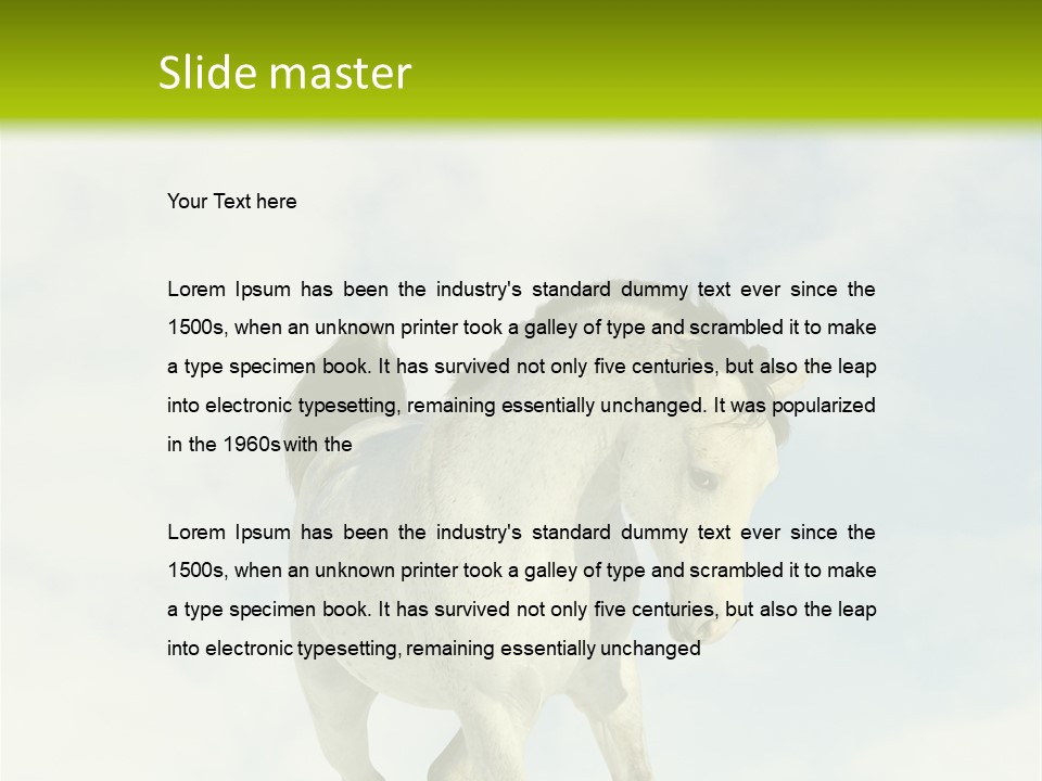Beautiful Horses PowerPoint Template