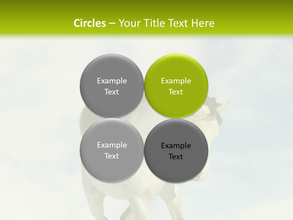 Beautiful Horses PowerPoint Template