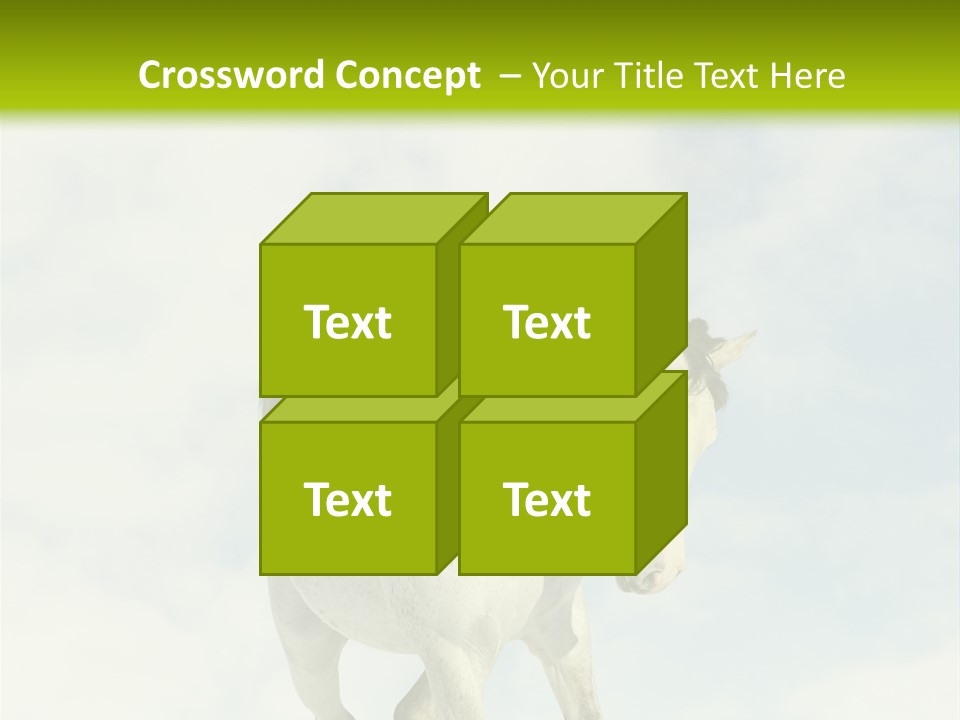 Beautiful Horses PowerPoint Template