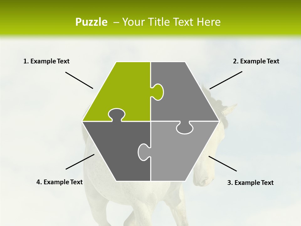 Beautiful Horses PowerPoint Template