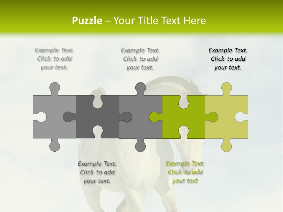 Beautiful Horses PowerPoint Template