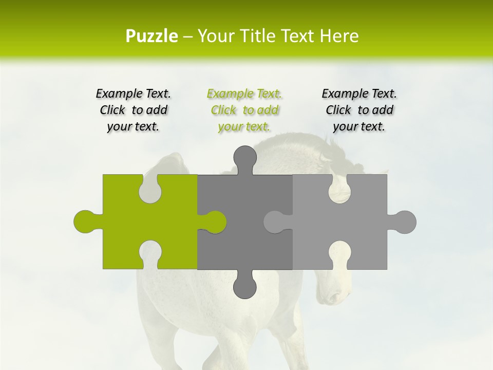 Beautiful Horses PowerPoint Template