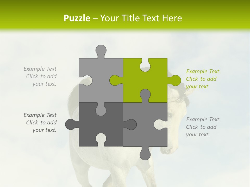 Beautiful Horses PowerPoint Template