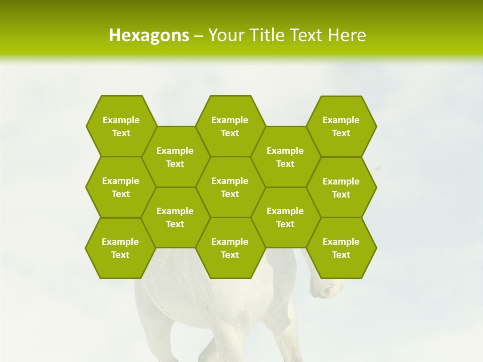 Beautiful Horses PowerPoint Template