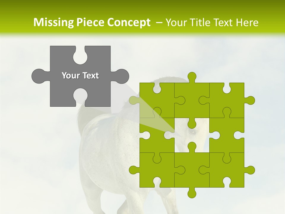 Beautiful Horses PowerPoint Template