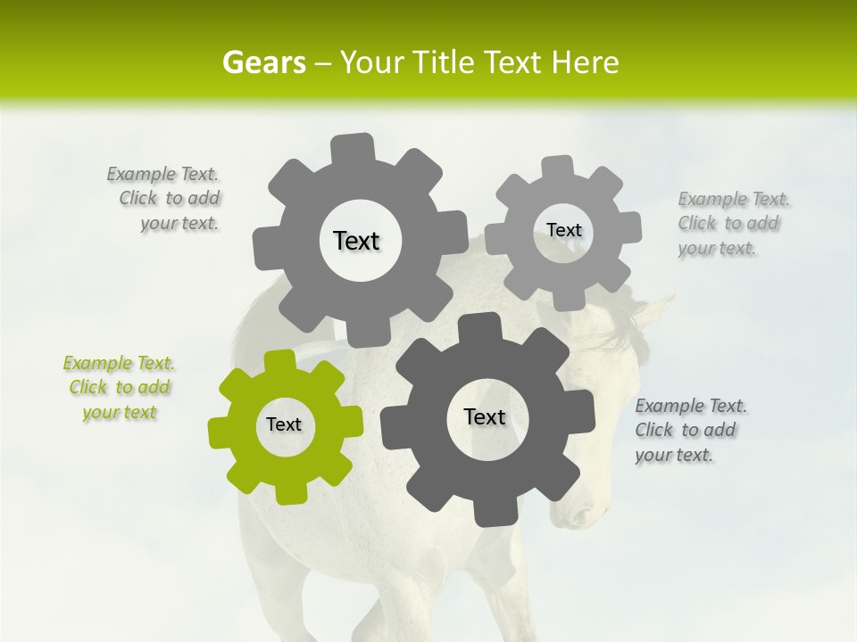 Beautiful Horses PowerPoint Template