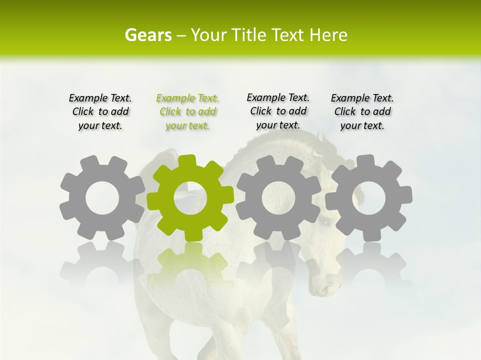 Beautiful Horses PowerPoint Template
