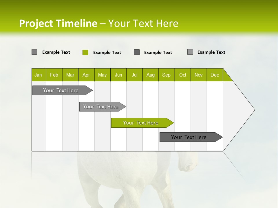 Beautiful Horses PowerPoint Template