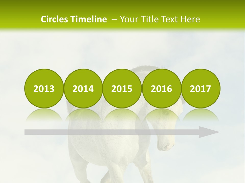 Beautiful Horses PowerPoint Template